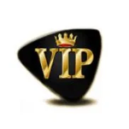 VIP Logi