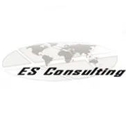 ES Consulting