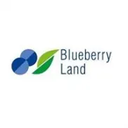 Blueberry land